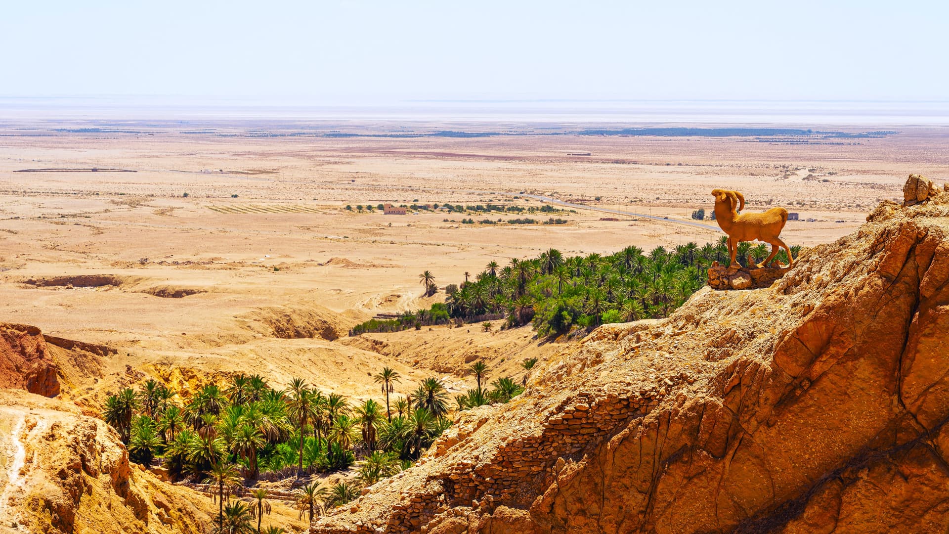 Sahara und Oasen